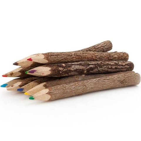 Set of 10 Twig Colouring Pencils