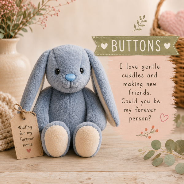 Buttons - Adoption Soft Toy