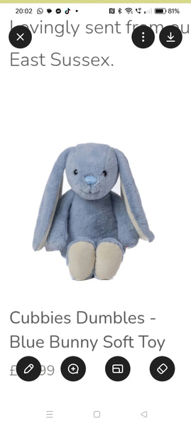 Buttons - Adoption Soft Toy