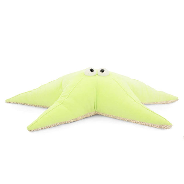 Green Sensory Starfish Soft Toy